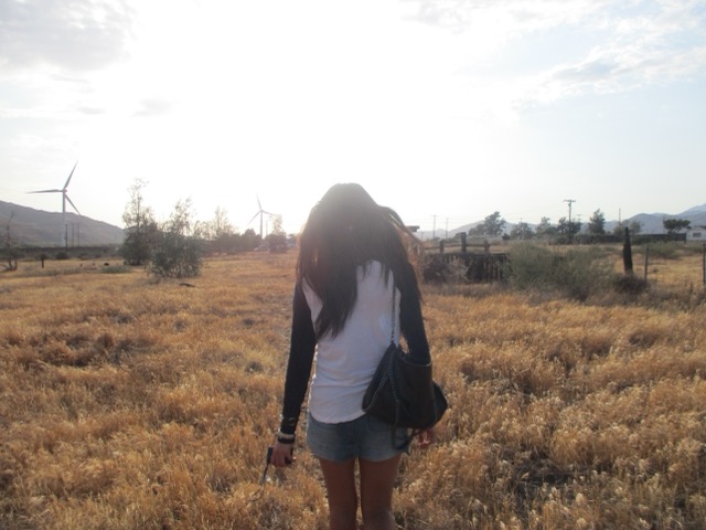 walking on campus at sunset
